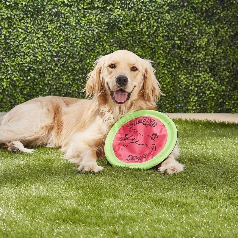 Booda Tail-Spin Flyer 10" Diameter Floppy Dog Frisbee (Pack of 2) - Image 2